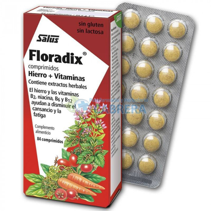 Salus Floradix Comprimidos